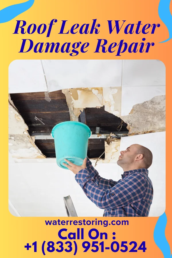 Roof Leak Water Damage Repair in Eureka, TX