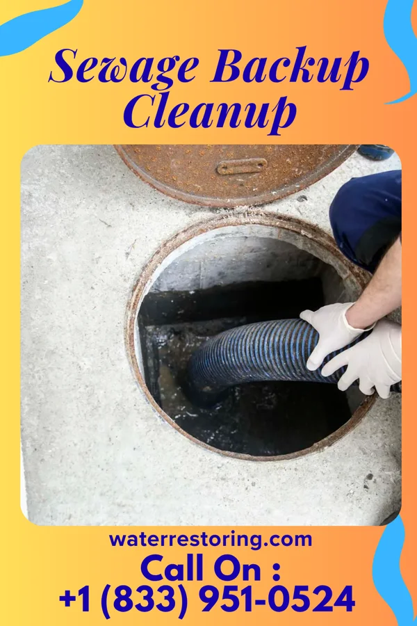 Sewage Backup Cleanup in Eureka, TX